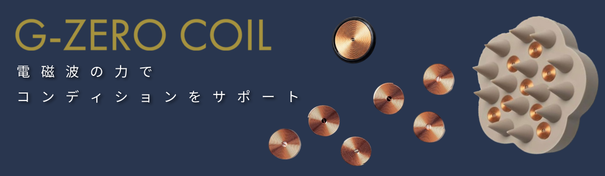 G-ZERO[ジーゼロ]